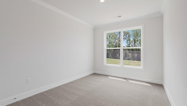 315 Fiery, Mauldin, SC 29607 - spare room featuring ornamental molding, carpet flooring, and baseboards
