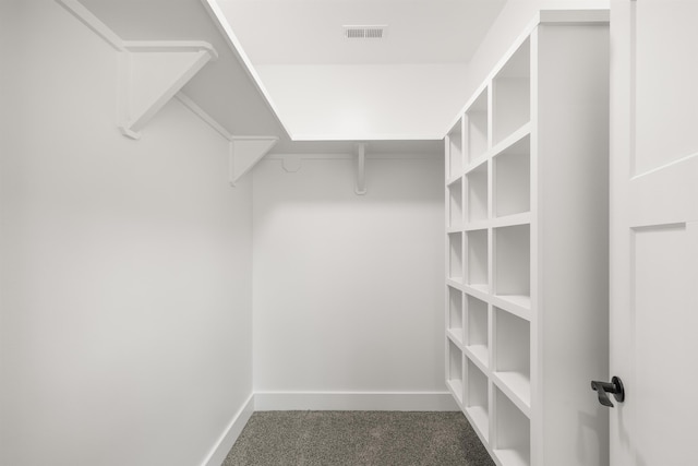 3135 E Croft, Spartanburg, SC 29302 - spacious closet with carpet