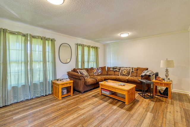 955 Baggett Rd, Enoree, SC 29335 - living room featuring ornamental molding, a textured ceiling, and light wood-type flooring
