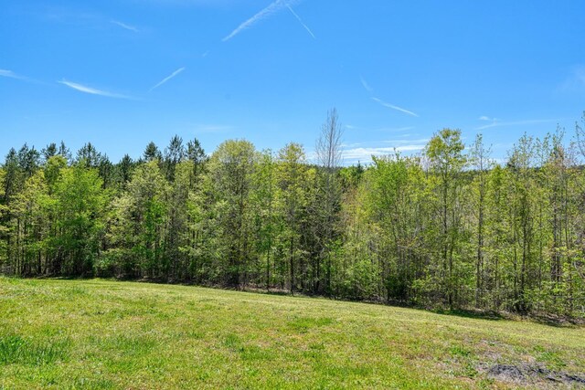 955 Baggett Rd, Enoree, SC 29335 - view of grassy yard with a wooded view