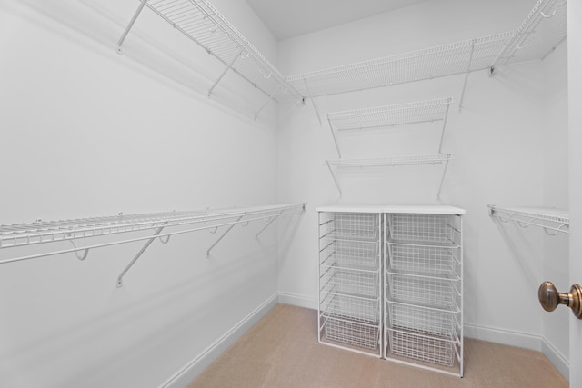 404 N Tidewater, Inman, SC 29349 - spacious closet with carpet flooring