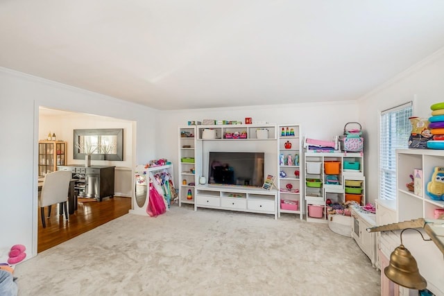 204 Thornhill, Spartanburg, SC 29301 - rec room with crown molding and carpet flooring