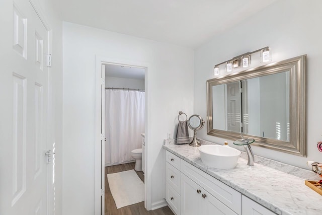 204 Thornhill, Spartanburg, SC 29301 - bathroom with toilet, vanity, and wood finished floors