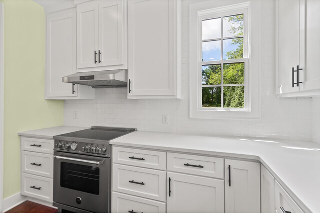 130 Market Bay, Simpsonville, SC 29681 - kitchen with high end range, under cabinet range hood, and white cabinets