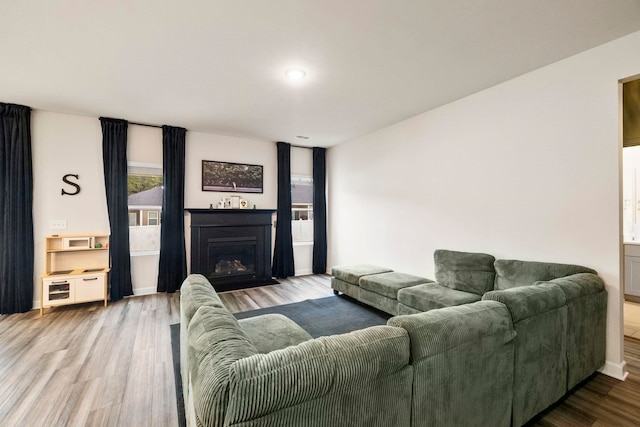 813 Elgon Walk, Fountain Inn, SC 29644 - living room with wood finished floors, a fireplace, and baseboards