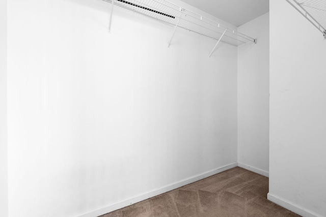 100 Maximus, Greer, SC 29651 - walk in closet featuring carpet floors