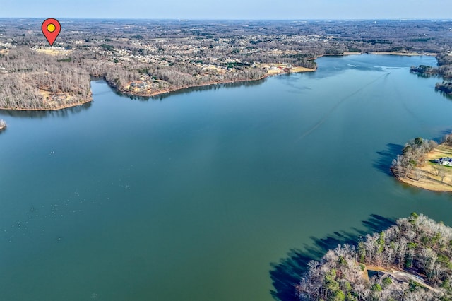 3621 Pennington, Greer, SC 29651 - drone / aerial view of a large body of water and a heavily wooded area