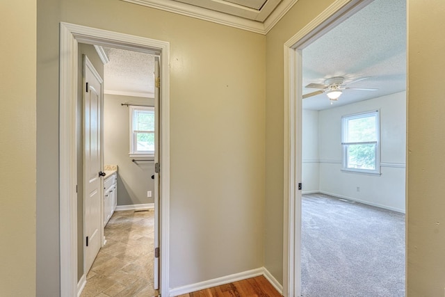 9 Powell, Inman, SC 29349 - hall featuring a textured ceiling, crown molding, healthy amount of natural light, and baseboards