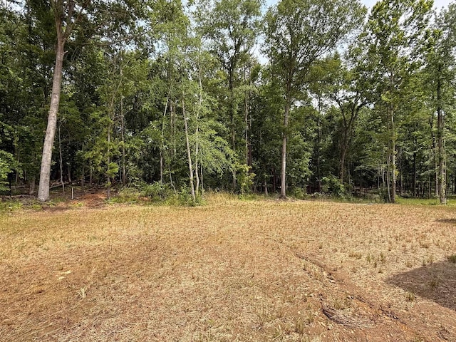 231 Patch, Spartanburg, SC 29302 - view of local wilderness