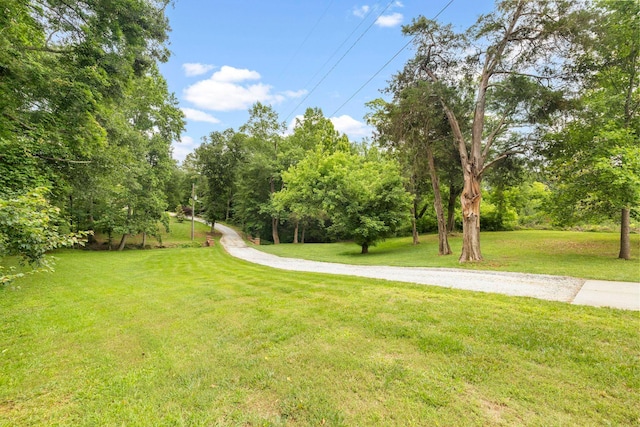 2131 Brockman Mcclimon, Greer, SC 29651 - view of green lawn with view of wooded area