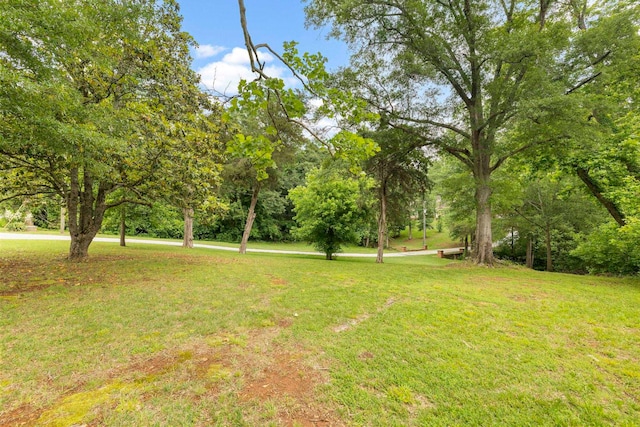 2131 Brockman Mcclimon, Greer, SC 29651 - view of grassy yard featuring view of scattered trees