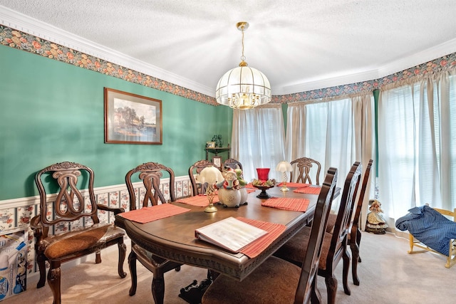 11 Midland, Taylors, SC 29687 - carpeted dining space featuring crown molding, a chandelier, a wainscoted wall, and a textured ceiling