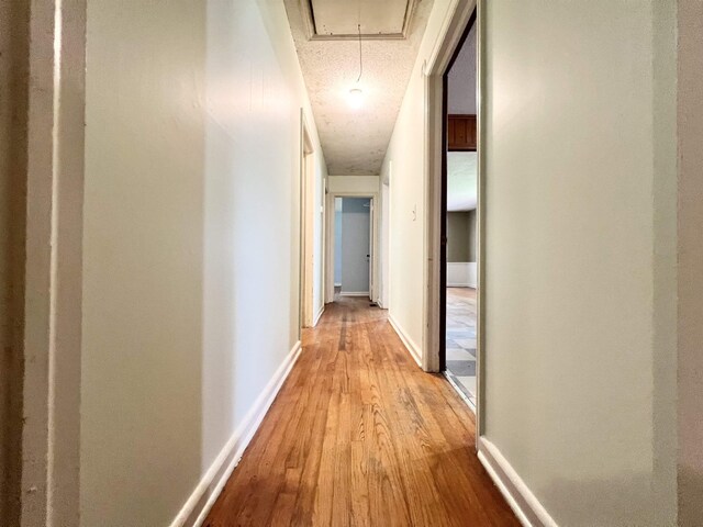 453 Lucerne, Spartanburg, SC 29302 - hallway with hardwood / wood-style flooring, attic access, and baseboards