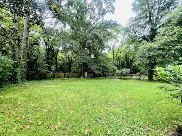 453 Lucerne, Spartanburg, SC 29302 - view of yard