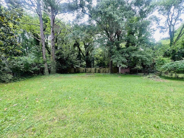 453 Lucerne, Spartanburg, SC 29302 - view of yard