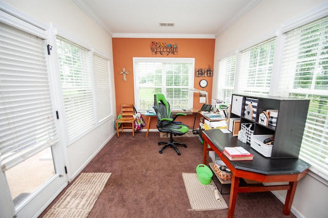 175 Castleton, Boiling Springs, SC 29316 - office with ornamental molding, carpet flooring, and baseboards