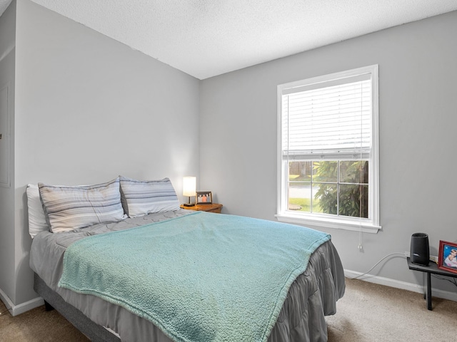 1156 Webber, Spartanburg, SC 29307 - bedroom featuring carpet flooring, baseboards, and a textured ceiling