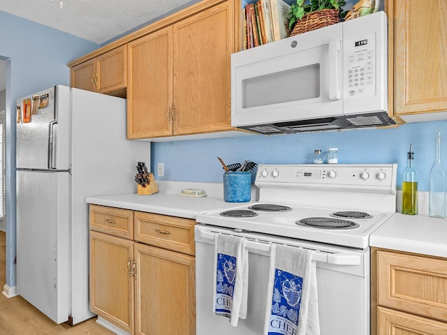 1156 Webber, Spartanburg, SC 29307 - kitchen featuring white appliances, light countertops, and light wood-style flooring