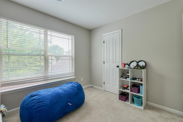 514 Millervale, Greer, SC 29650 - recreation room with carpet floors and baseboards