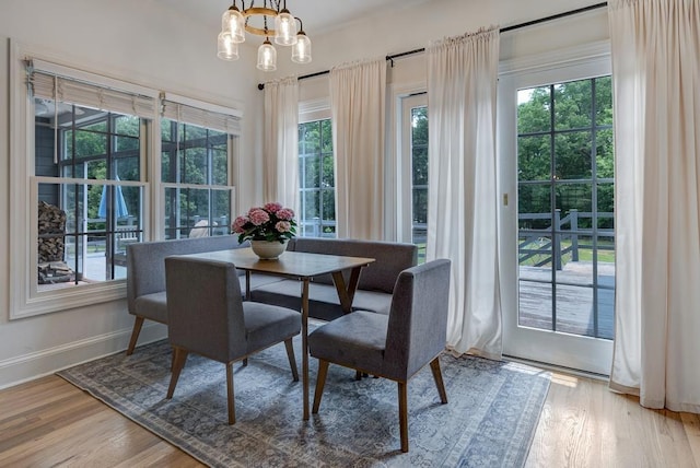 355 Night Lark, Campobello, SC 29322 - dining space featuring plenty of natural light, a chandelier, baseboards, and wood finished floors