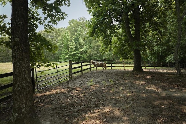 355 Night Lark, Campobello, SC 29322 - view of gate