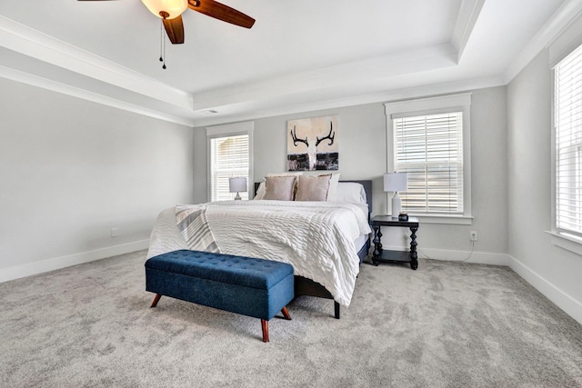 206 Hoss, Greenville, SC 29615 - bedroom featuring a raised ceiling, multiple windows, carpet flooring, and ornamental molding