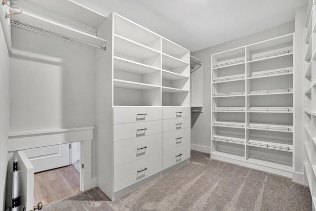 206 Hoss, Greenville, SC 29615 - spacious closet featuring carpet floors
