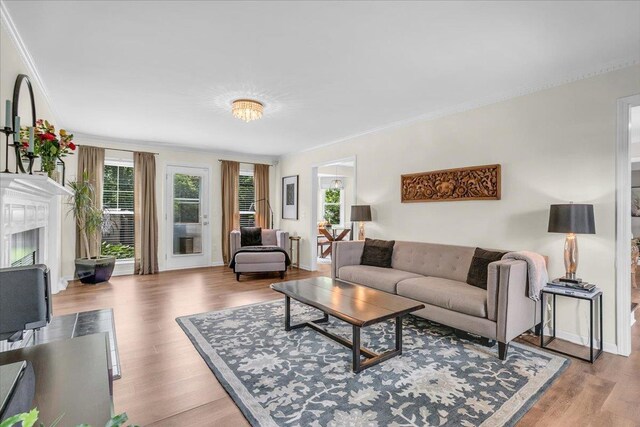16 Chariot, Simpsonville, SC 29681 - living area featuring crown molding, healthy amount of natural light, a premium fireplace, and wood finished floors