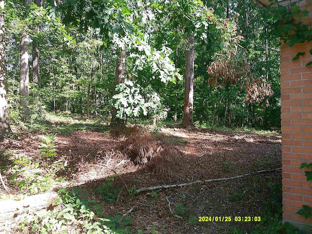 796 Neal, Woodruff, SC 29388 - view of nature