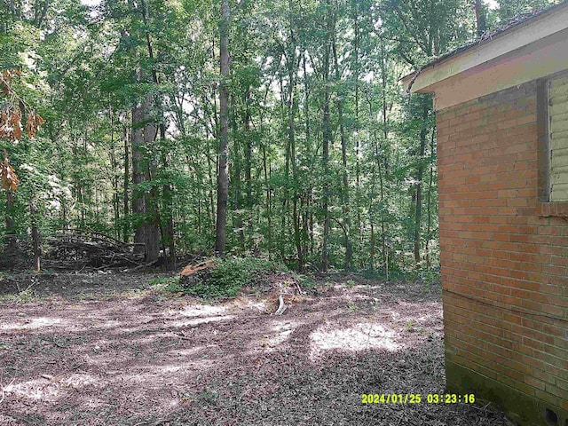 796 Neal, Woodruff, SC 29388 - view of woods