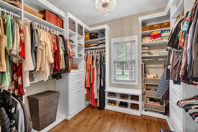 2030 Fasana, York, SC 29745 - spacious closet with light wood finished floors
