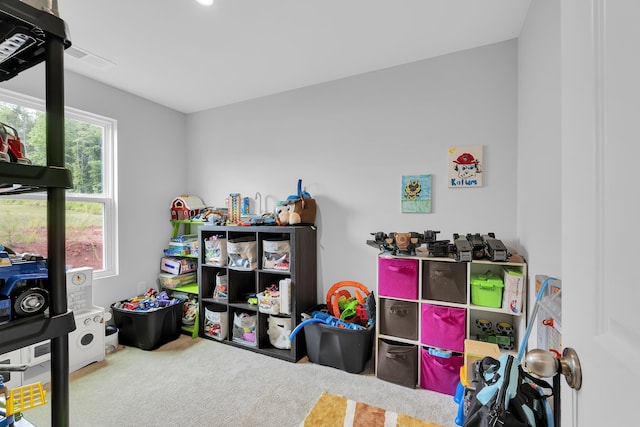 2097 Evanston, Wellford, SC 29385 - playroom with carpet flooring