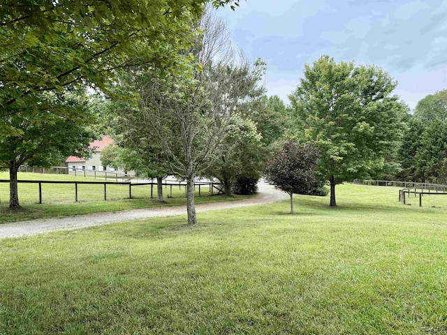226 John Smith, Columbus, NC 28722 - view of yard