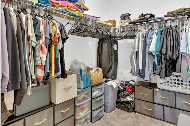 241 Hartleigh, Lyman, SC 29365 - spacious closet with carpet floors