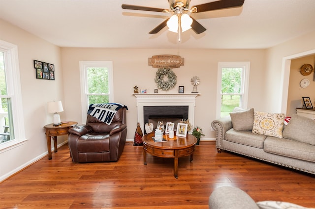 477 Cresthaven, Boiling Springs, SC 29316 - living area featuring plenty of natural light, wood finished floors, ceiling fan, and a fireplace