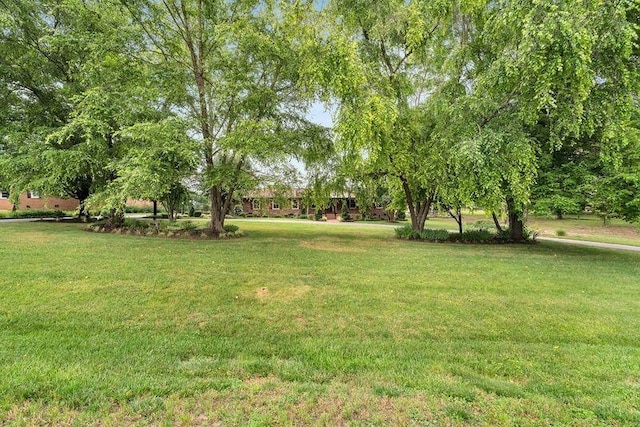 268 Margate, Chesnee, SC 29323 - view of grassy yard