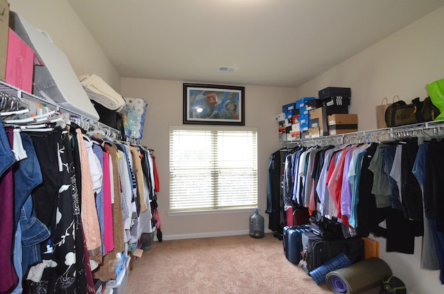 108 Dillard Crk, Greer, SC 29651 - walk in closet with carpet