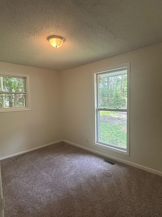 121 Hillside Dr, Spartanburg, SC 29303 - unfurnished room featuring carpet floors and a textured ceiling