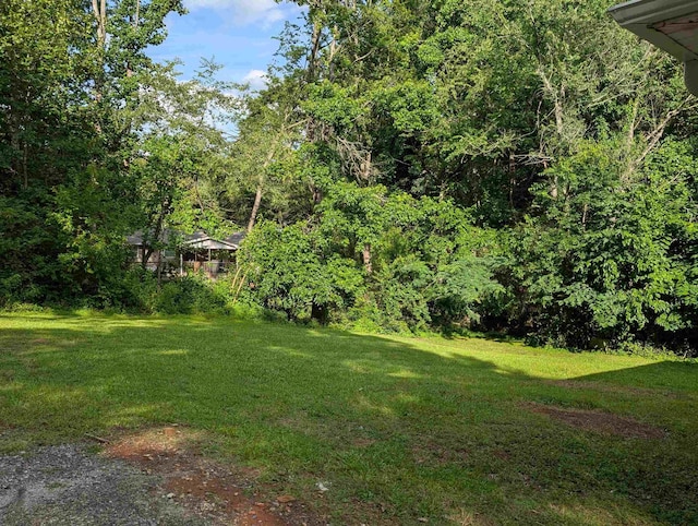 126 Loblolly, Wellford, SC 29385 - view of grassy yard with a view of trees