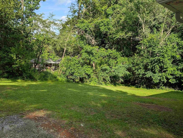126 Loblolly, Wellford, SC 29385 - view of green lawn with a forest view