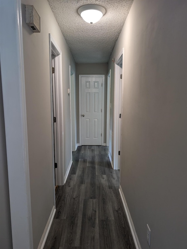 126 Loblolly, Wellford, SC 29385 - hallway with a textured ceiling and dark wood-style flooring