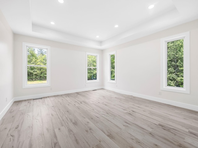 162 Clearcreek, Boiling Springs, SC 29316 - spare room featuring a raised ceiling, plenty of natural light, light wood finished floors, and recessed lighting