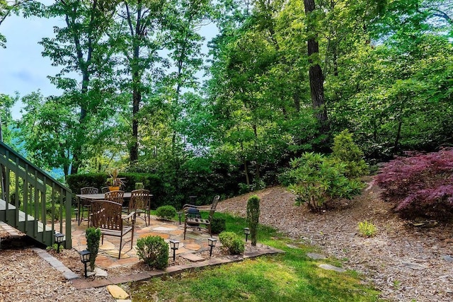 387 Goodview, Hendersonville, NC 28792 - view of yard with a patio area