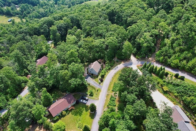 387 Goodview, Hendersonville, NC 28792 - aerial view of property and surrounding area featuring a forest