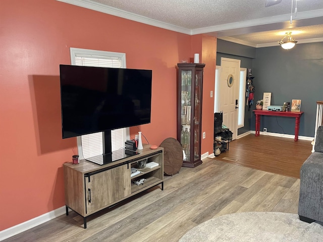 511 El Bethel Rd, Gaffney, SC 29340 - living room featuring crown molding, wood finished floors, and a textured ceiling