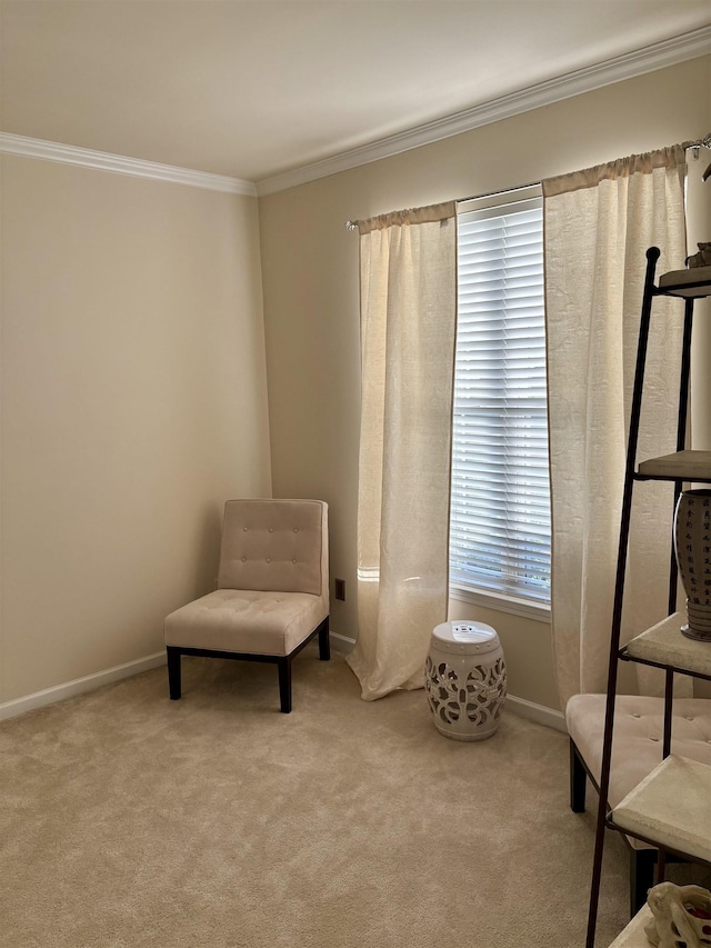 105 Pimmitt Run, Moore, SC 29369 - living area with crown molding and carpet