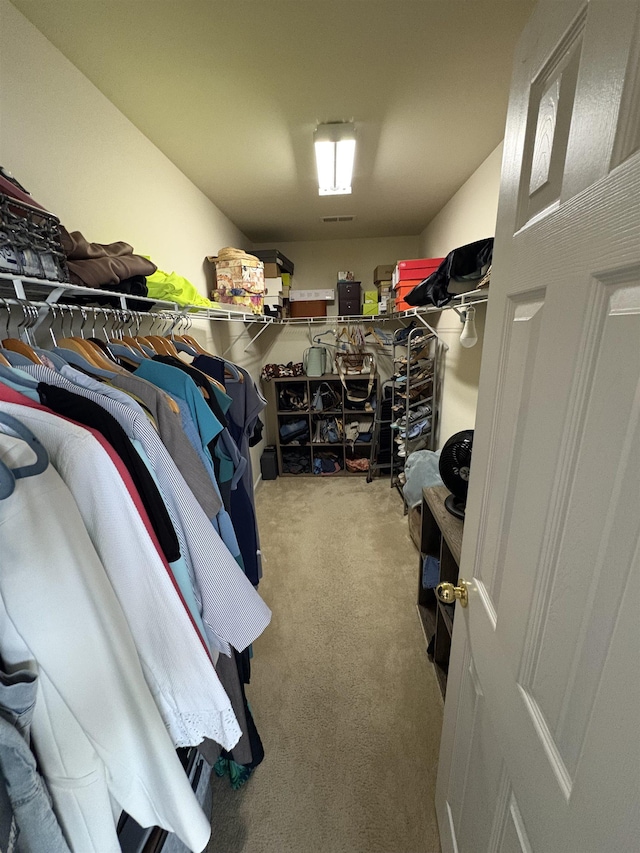 105 Pimmitt Run, Moore, SC 29369 - walk in closet featuring carpet floors