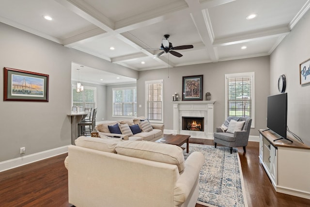 203 Piper Gln, Inman, SC 29349 - living room with healthy amount of natural light, dark wood-type flooring, a premium fireplace, beamed ceiling, and coffered ceiling