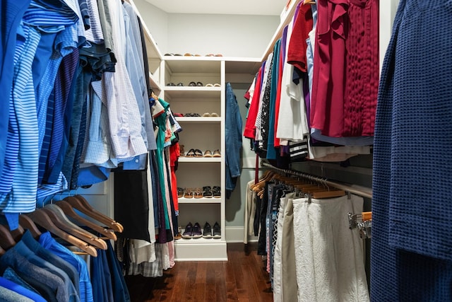 203 Piper Gln, Inman, SC 29349 - spacious closet with wood finished floors
