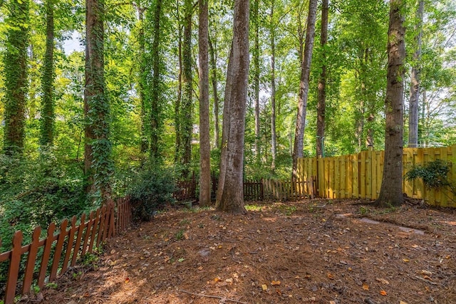 215 E Shefford, Greer, SC 29650 - view of yard